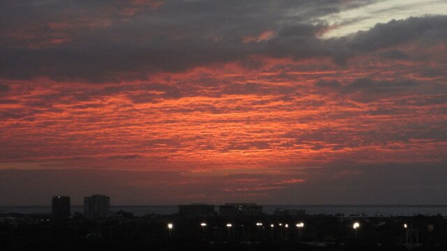 Daily Photos: More from @FlyTPA